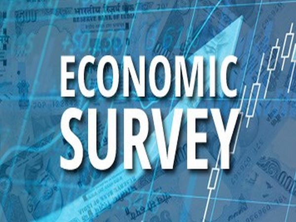 ecoonomic survey