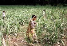 अगवा बचपन, बंधुआ बचपन