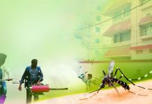 दिल्ली में डेंगू का स्ट्रेन -2 पाये जाने से हड़कंप