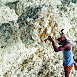 An employee works inside a cotton processing unit at Kunthva village