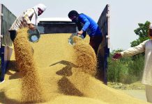 वैश्विक खाद्य संकट का ज़िम्मेदार अमेरिका
