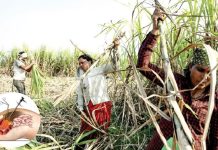 महाराष्ट्र में फिर हुआ गर्भाशय निकालने का महापाप!