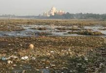 उदासीनता और भ्रष्टाचार से आगरा के हरियाली के ख्वाब बेमानी हुए