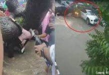 दिल्ली में बारिश का कहर; एक चलती बाइक पर गिरा 100 साल पुराना पेड़, एक की दर्दनाक मौत