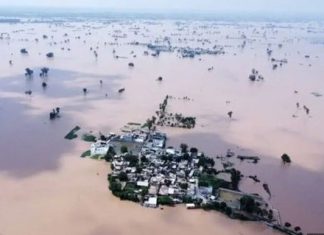 पंजाब में 2000 से अधिक गांव बाढ़ की चपेट में, किसानों की फसलों और घर तबाह