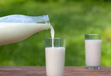 LPG Crisis: चाय हुई महंगी, अब दूध के दाम बढ़ने का खतरा? अब दूध भी महंगा होने की आशंका...