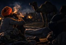 तहलका की पड़ताल: अब उड़ता राजस्थान?