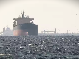 होर्मुज़ स्ट्रेट से भारतीय टैंकरों को मिला सुरक्षित रास्ता… बोले जयशंकर भारतीय जहाज़ों को होर्मुज़ स्ट्रेट से गुज़रने में मदद मिली है। - S. Jaishankar