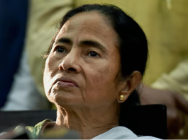 भवानीपुर में बदला सियासी समीकरण, मुस्लिम-कायस्थ गणित के बीच BJP की घेराबंदी, ममता के लिए चुनौती बढ़ी भाजपा के चक्रव्यूह में ममता दीदी उलझीं। Credit: PTI File Photo