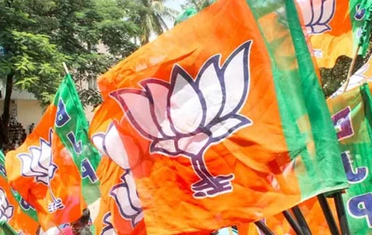 लोकसभा स्पीकर के खिलाफ प्रस्ताव पर चर्चा के आसार, 9–10 मार्च के लिए बीजेपी का व्हिप 9–10 मार्च को बीजेपी ने अपने सांसदो के लिए जारी किया व्हिप