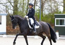 Germany में लहराया तिरंगा: घुड़सवार अनुष अग्रवाला का ‘सिल्वर’ पंच जीत की नई लय: आगामी ओलंपिक और एफईआई प्रतियोगिताओं की ओर अनुष के मजबूत कदम…Photo Source : thehawk