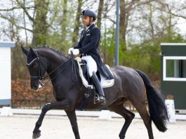 Germany में लहराया तिरंगा: घुड़सवार अनुष अग्रवाला का ‘सिल्वर’ पंच जीत की नई लय: आगामी ओलंपिक और एफईआई प्रतियोगिताओं की ओर अनुष के मजबूत कदम…Photo Source : thehawk