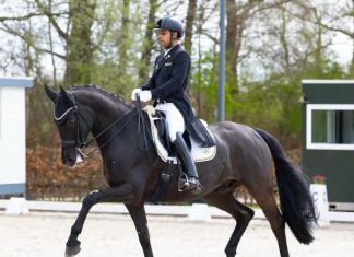 Germany में लहराया तिरंगा: घुड़सवार अनुष अग्रवाला का ‘सिल्वर’ पंच जीत की नई लय: आगामी ओलंपिक और एफईआई प्रतियोगिताओं की ओर अनुष के मजबूत कदम…Photo Source : thehawk