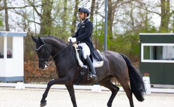 Germany में लहराया तिरंगा: घुड़सवार अनुष अग्रवाला का ‘सिल्वर’ पंच जीत की नई लय: आगामी ओलंपिक और एफईआई प्रतियोगिताओं की ओर अनुष के मजबूत कदम…Photo Source : thehawk