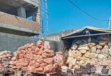 तहलका की पड़ताल: भारतीय थाली में प्रतिबंधित नमक
