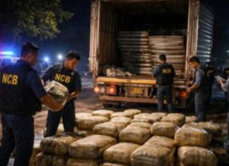 Mumbai में बड़े कोकीन सिंडिकेट का भंडाफोड़, 349 KG ड्रग्स जब्त मुंबई में NCB की बड़ी कार्रवाई, 349 किलो कोकीन जब्त; 1745 करोड़ का ड्रग रैकेट बेनकाब...Pic Credit :MSN