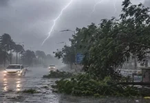 UP में आंधी-तूफान का कहर: 56 लोगों की मौत, सीएम योगी ने 24 घंटे में राहत देने के दिए निर्देश UP में आंधी-तूफान, बिजली से 56 मौतें | Photo source : tv9 भारतवर्ष
