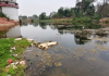 100 साल पुराने रिकॉर्ड से तय होगा मंदाकिनी का फ्लड जोन, बाढ़ से मिलेगी राहत? Mandakini River | Image Source: Amar Ujala