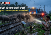 असम: 65 हाथियों को बचाने के लिए रोकी गई राजधानी एक्सप्रेस, होजाई में टला बड़ा हादसा असम के होजाई में रेलवे ट्रैक पार करता हाथियों का झुंड