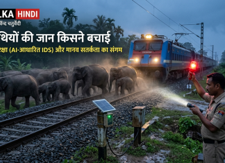 असम: 65 हाथियों को बचाने के लिए रोकी गई राजधानी एक्सप्रेस, होजाई में टला बड़ा हादसा असम के होजाई में रेलवे ट्रैक पार करता हाथियों का झुंड