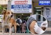 विश्व रेबीज दिवस पर तहलका की ग्राउंड रिपोर्ट द्वारका में एनिमल बाइट के इलाज और रेबीज टीकाकरण की व्यवस्था की प्रतीकात्मक तस्वीर