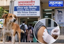 विश्व रेबीज दिवस पर तहलका की ग्राउंड रिपोर्ट द्वारका में एनिमल बाइट के इलाज और रेबीज टीकाकरण की व्यवस्था की प्रतीकात्मक तस्वीर