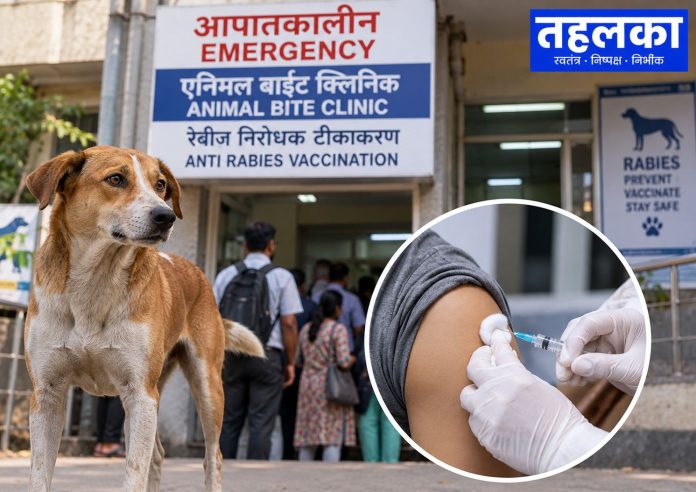 द्वारका में एनिमल बाइट के इलाज और रेबीज टीकाकरण की व्यवस्था की प्रतीकात्मक तस्वीर द्वारका में एनिमल बाइट के इलाज और रेबीज टीकाकरण की व्यवस्था की प्रतीकात्मक तस्वीर