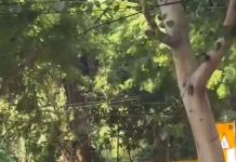 जंतर-मंतर में घुसे सीजेपी कार्यकर्ता, बैरिकेड पार करते ही पुलिस ने नेताओं को हिरासत में लिया
