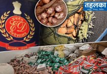 म्यांमार बॉर्डर से गुटखा फैक्ट्रियों तक ‘सुपारी सिंडिकेट’ का जाल, ईडी की 16 ठिकानों पर रेड म्यांमार सीमा से कथित सुपारी तस्करी और ट्रकों की आवाजाही की प्रतीकात्मक तस्वीर