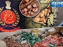 म्यांमार बॉर्डर से गुटखा फैक्ट्रियों तक ‘सुपारी सिंडिकेट’ का जाल, ईडी की 16 ठिकानों पर रेड म्यांमार सीमा से कथित सुपारी तस्करी और ट्रकों की आवाजाही की प्रतीकात्मक तस्वीर